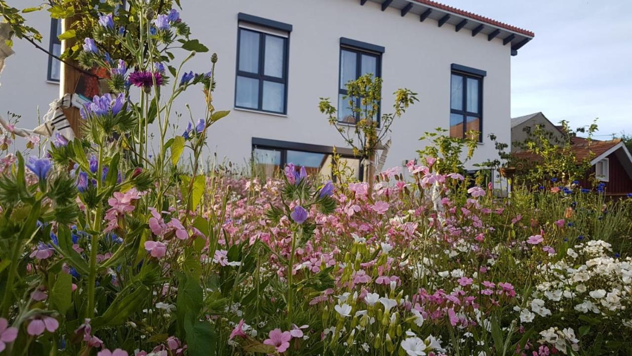 Gaestehaus 26/2 Bad Urach Eksteriør bilde
